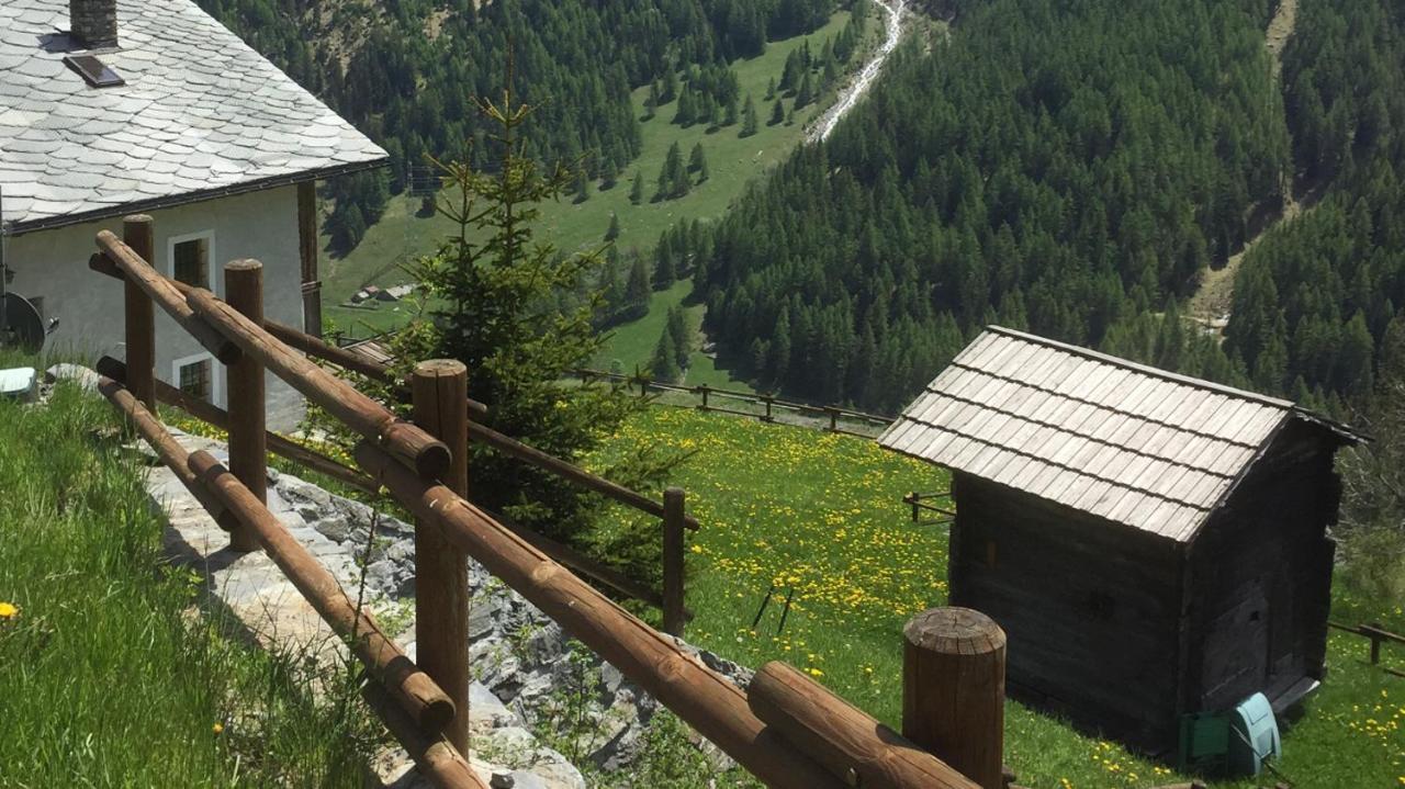 La Thuillettaz Maisons De Montagne Saint-Rhemy-En-Bosses Kültér fotó