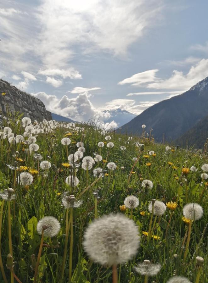 La Thuillettaz Maisons De Montagne Saint-Rhemy-En-Bosses Kültér fotó