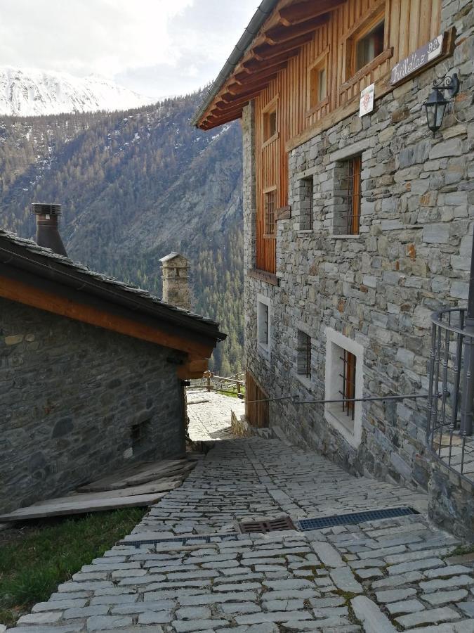 La Thuillettaz Maisons De Montagne Saint-Rhemy-En-Bosses Kültér fotó